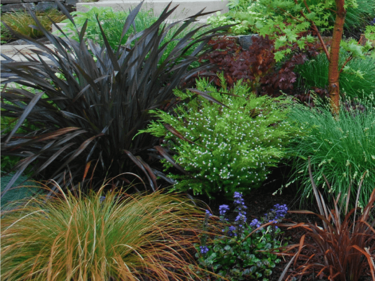 Garden Lights Landscape